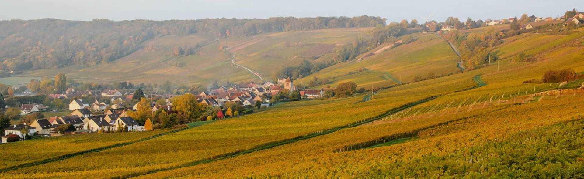 Installer une chaudière biomasse dans l'Aisne (02)